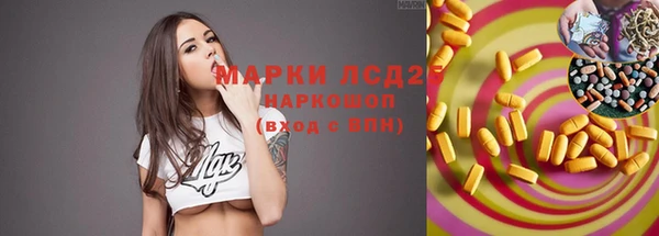 шишки Балахна